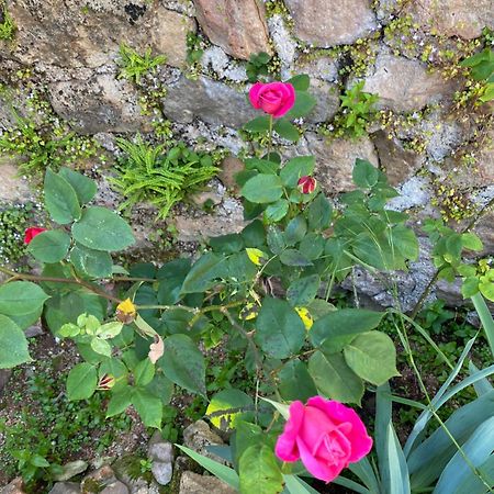Ferme Fleurie Bed & Breakfast Bergesserin Ngoại thất bức ảnh